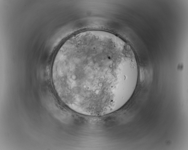 X0000113150579200909251330