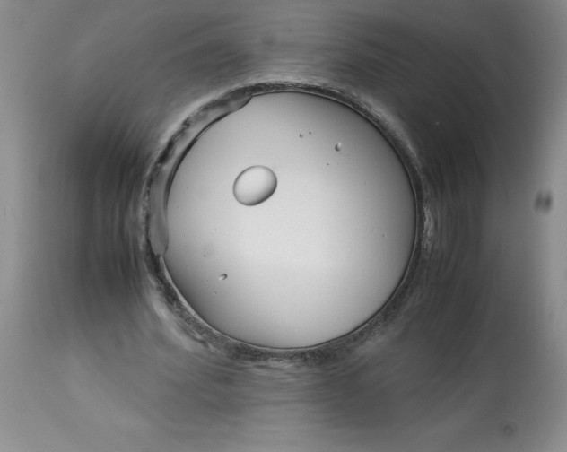 X0000113150580200909251330