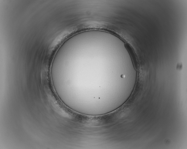 X0000113150581200909251330