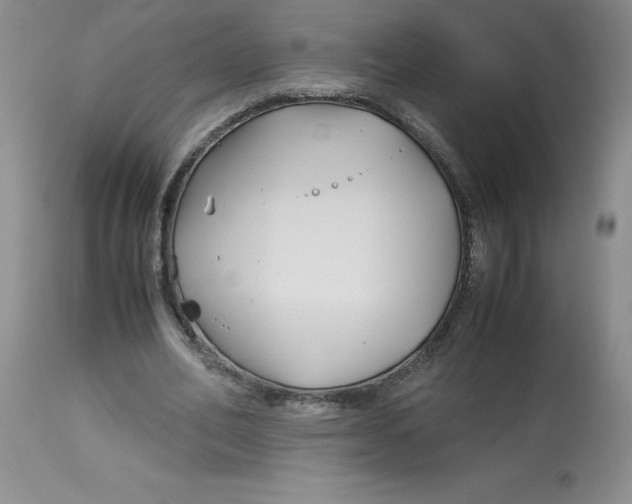 X0000113150582200909251330