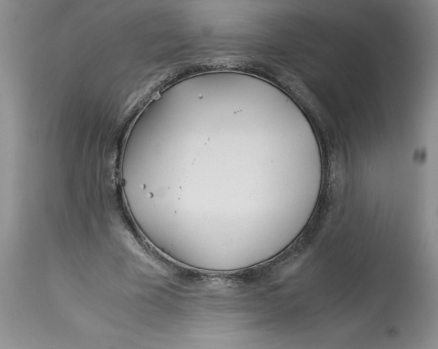 X0000113150585200909251330