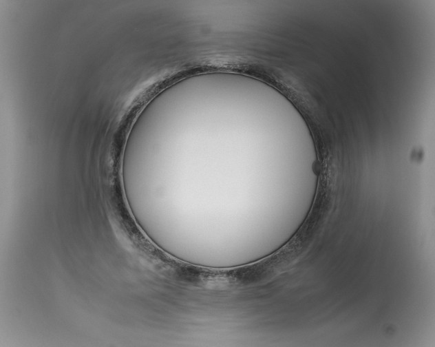 X0000113150587200909251330