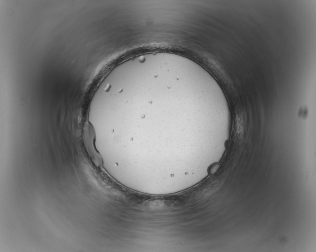 X0000113150588200909251330