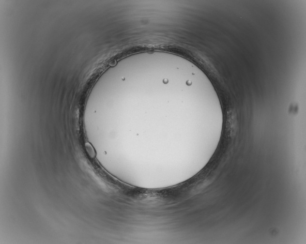 X0000113150589200909251330