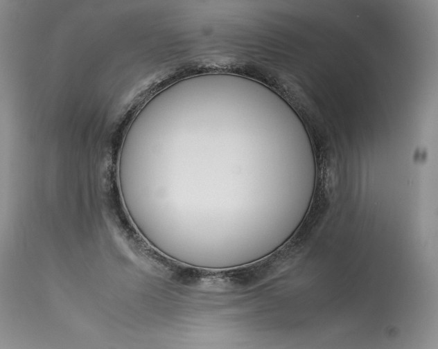 X0000113150591200909251330