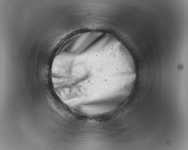 X0000113150592200909251330