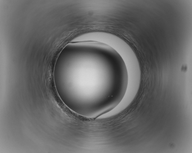 X0000113150593200909251330