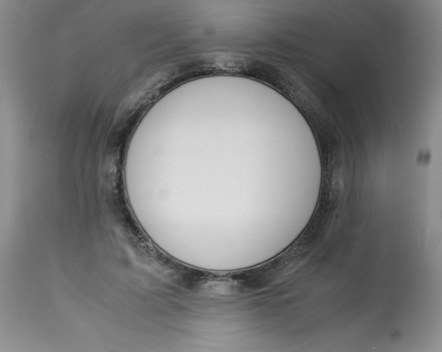 X0000113150595200909251330