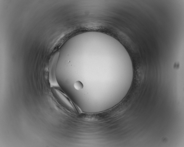 X0000113150596200909251330