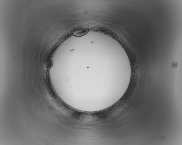 X0000113150597200909251330