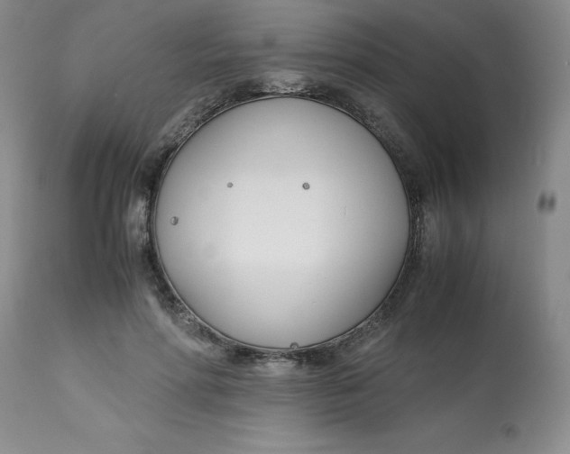 X0000113150598200909251330