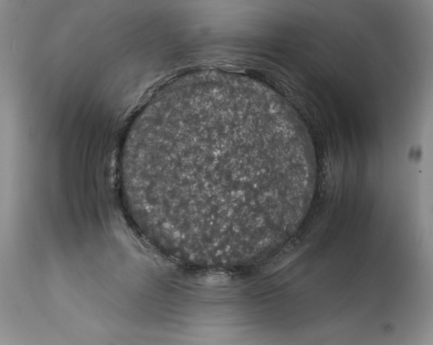 X0000113150600200909251330