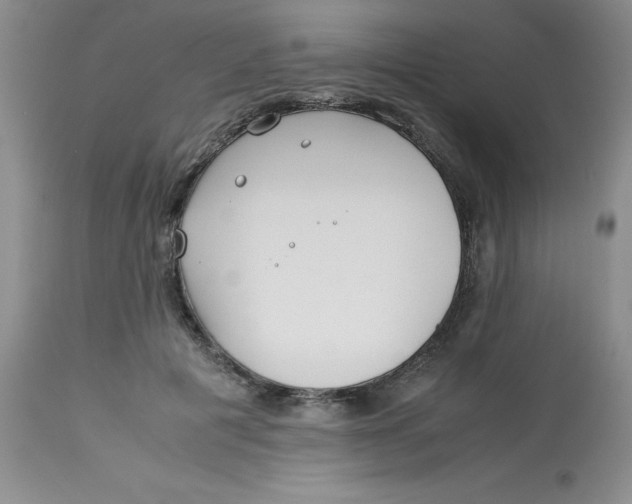 X0000113150601200909251330