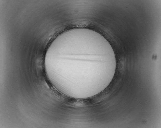 X0000113150604200909251330