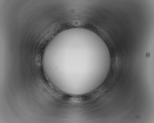 X0000113150606200909251330