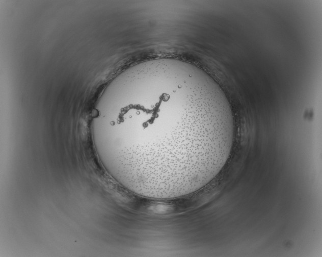 X0000113150610200909251330