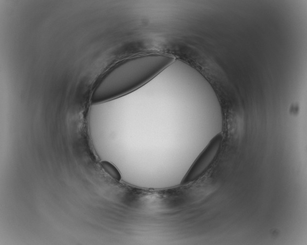 X0000113150611200909251330