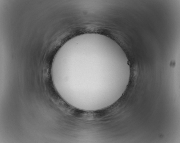 X0000113150615200909251329