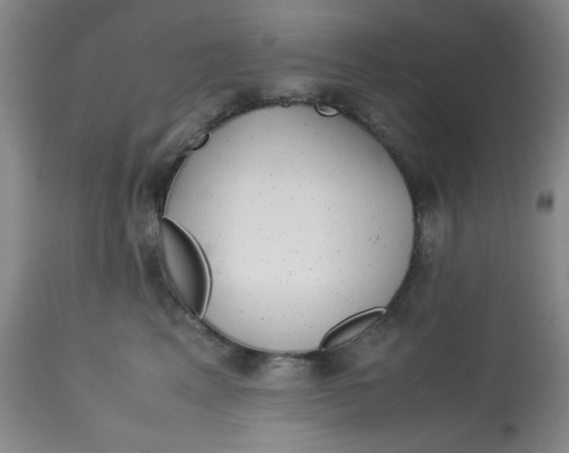 X0000113150617200909251329