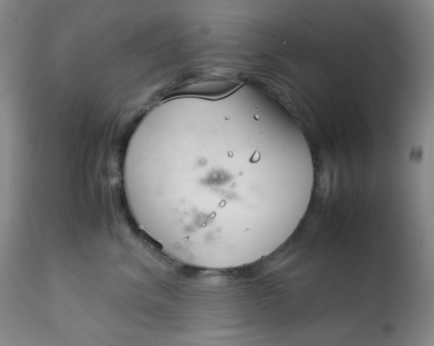 X0000113150620200909251329