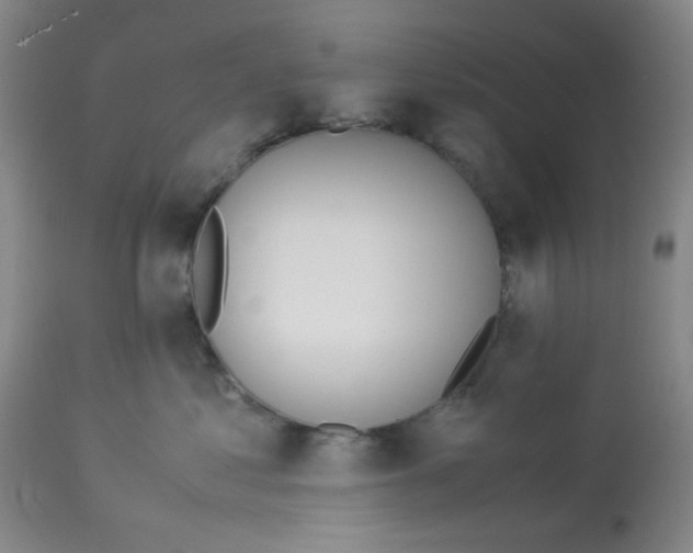 X0000113150621200909251329