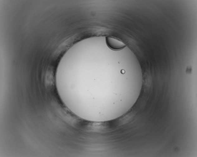 X0000113150622200909251329