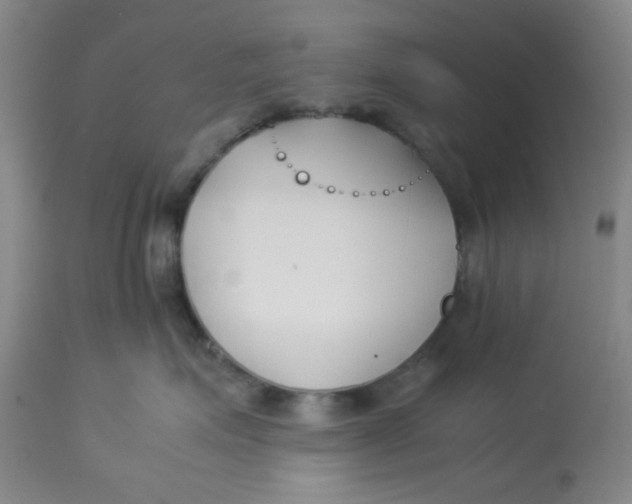 X0000113150623200909251329