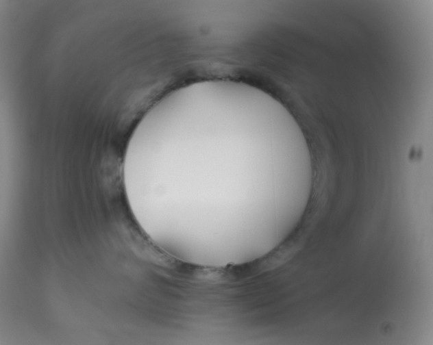 X0000113150624200909251329