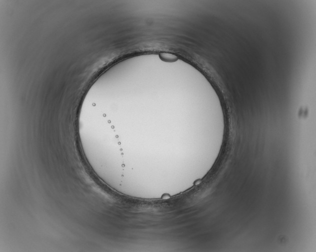 X0000113150625200909251329