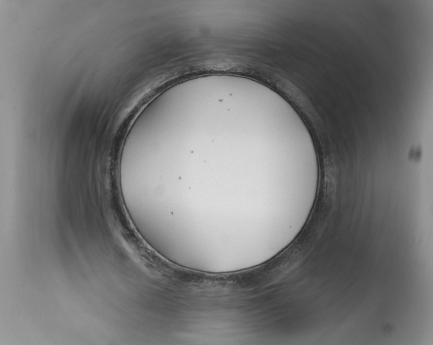 X0000113150626200909251329