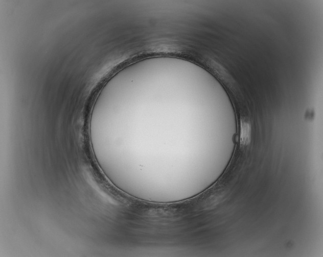 X0000113150627200909251329