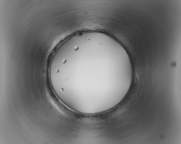 X0000113150630200909251329