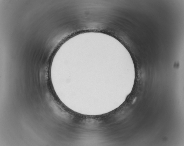 X0000113150632200909251329