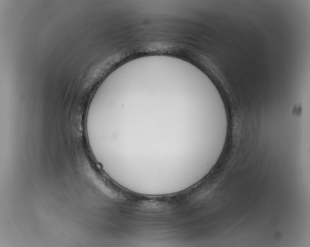 X0000113150633200909251329