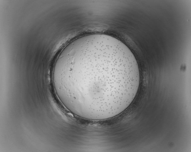 X0000113150634200909251329