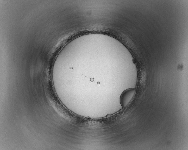 X0000113150636200909251329