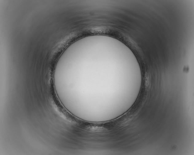 X0000113150637200909251329