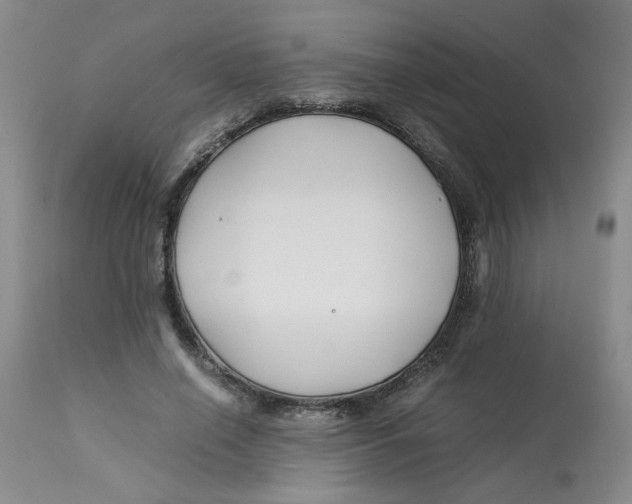 X0000113150638200909251329