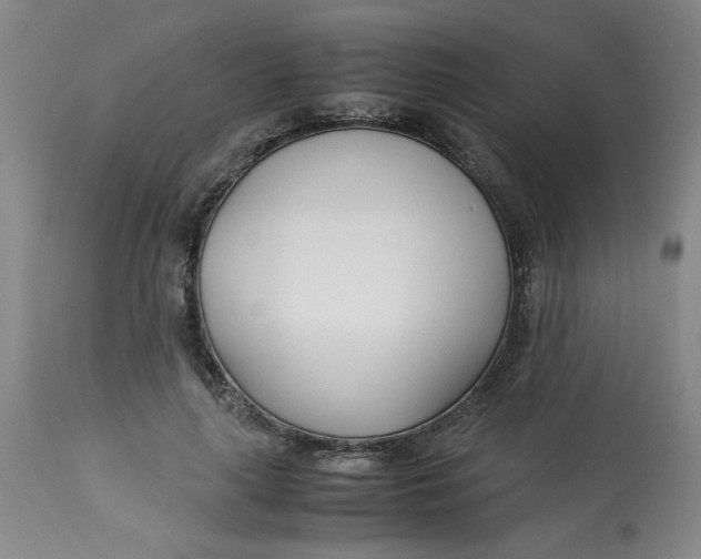 X0000113150643200909251329