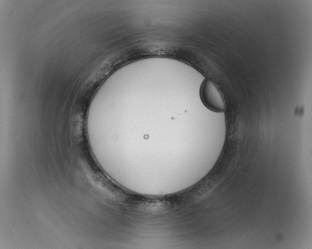 X0000113150646200909251329