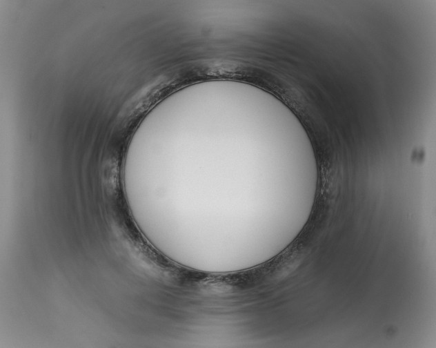 X0000113150648200909251329