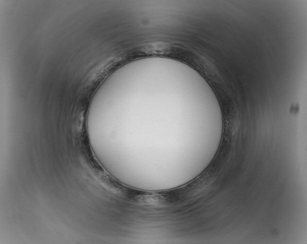 X0000113150652200909251329