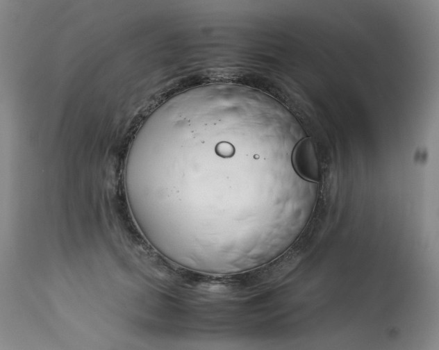 X0000113150655200909251329