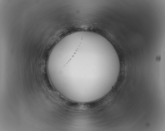 X0000113150656200909251329