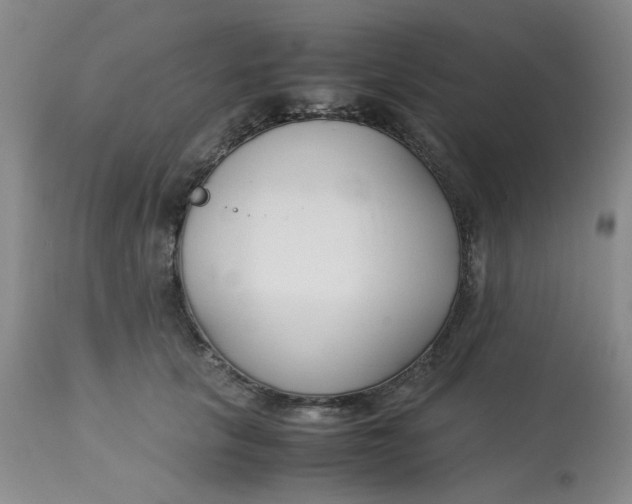 X0000113150657200909251329