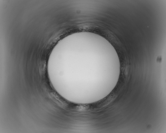 X0000113150660200909251329