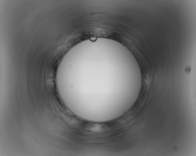 X0000113150663200909251329