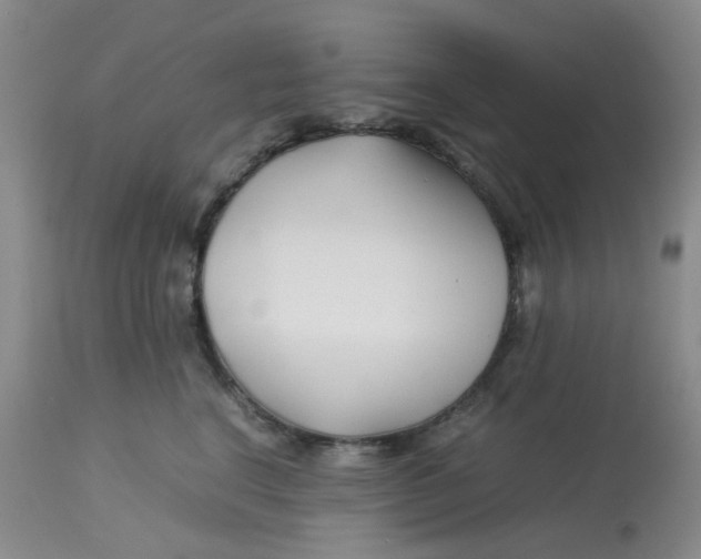 X0000113150664200909251329