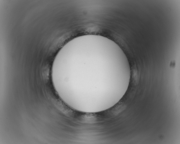 X0000113150668200909251329