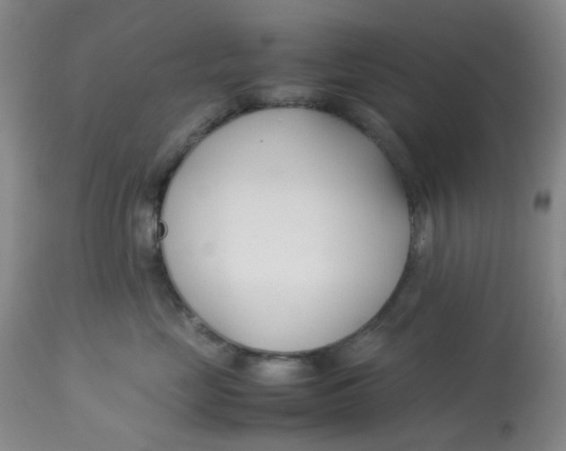 X0000113150669200909251329